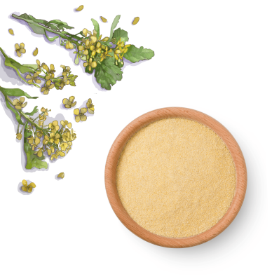 Гірчичне борошно